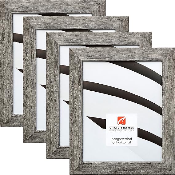Craig Frames 26030 12 x 16 Inch Picture Frame, Gray