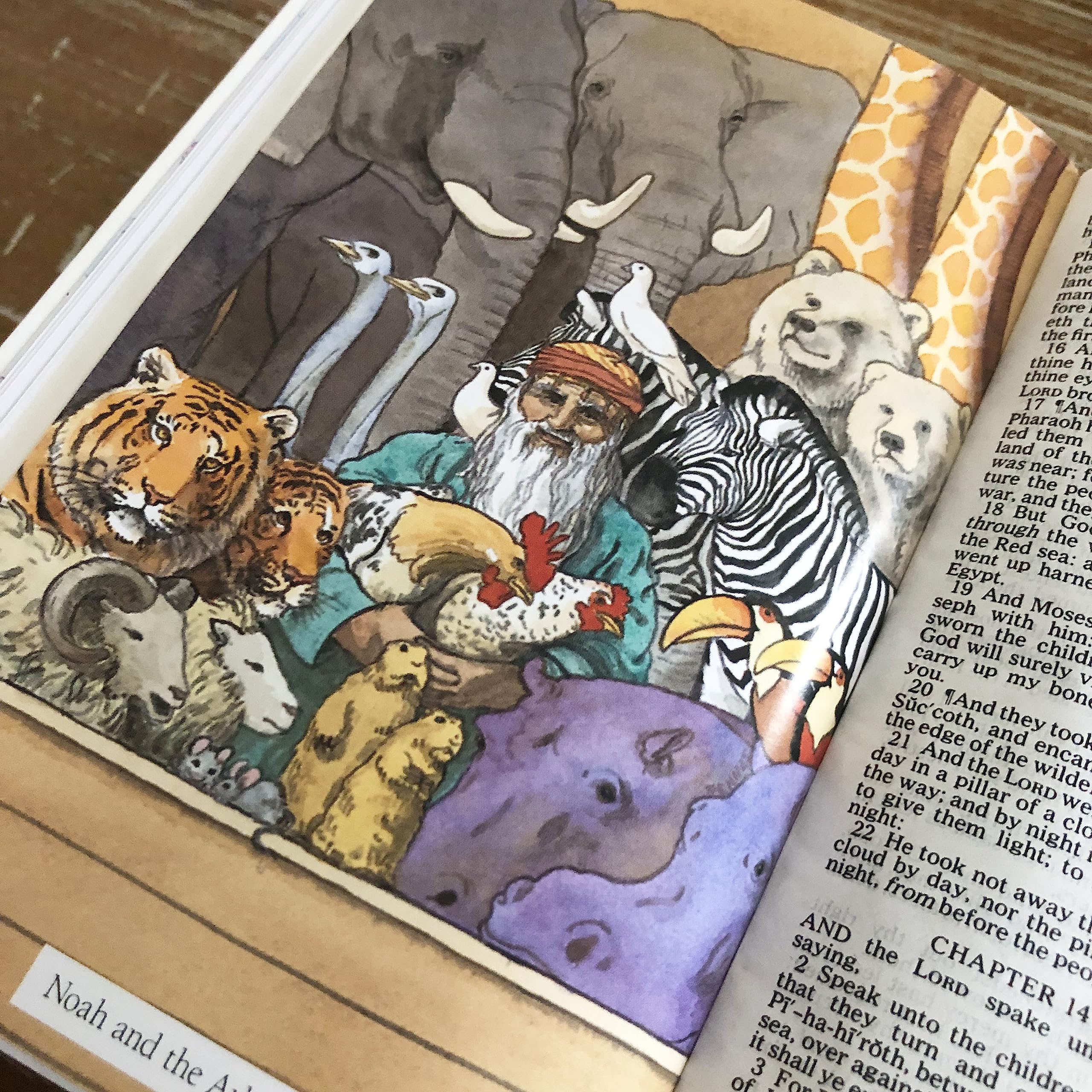 KJV Baby’s First Bible, Hardcover: Holy Bible King James Version