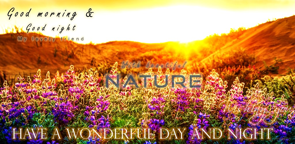 Good Morning Good Night Wonderful Nature Amazon Com Appstore For Android