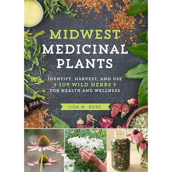 Medicinal Herbs And Plants Guide – Illustrated Paperback By Various Authors (Very Good Condition)