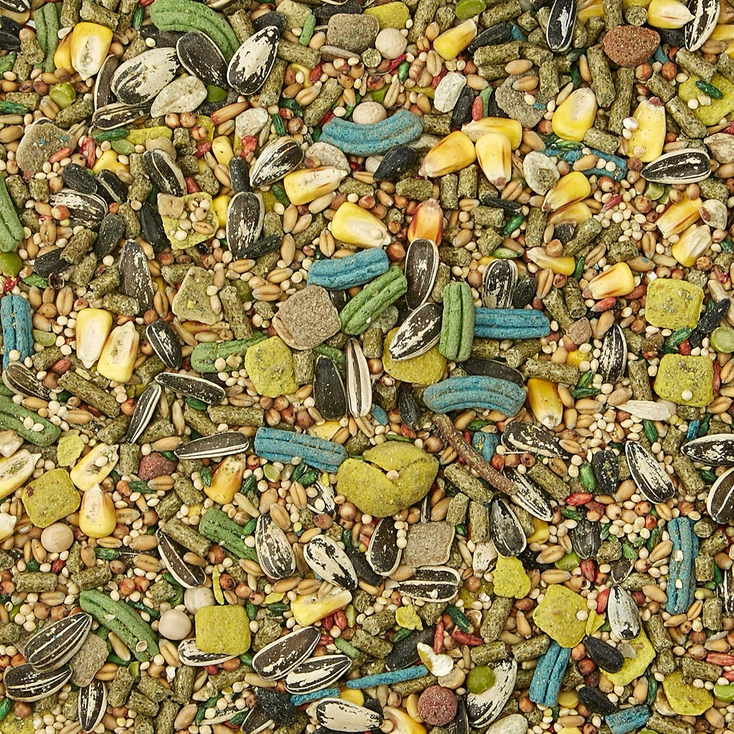 Kaytee Forti Diet Pro Health Hamster Food, 3-Pound : Pet Food : Pet Supplies