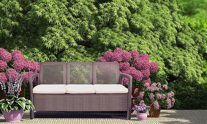 Almohadones para sillones de mimbre | Sillones