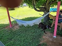 Review Image by Sharon