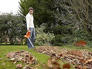 clicca per ingrandire l'immagine