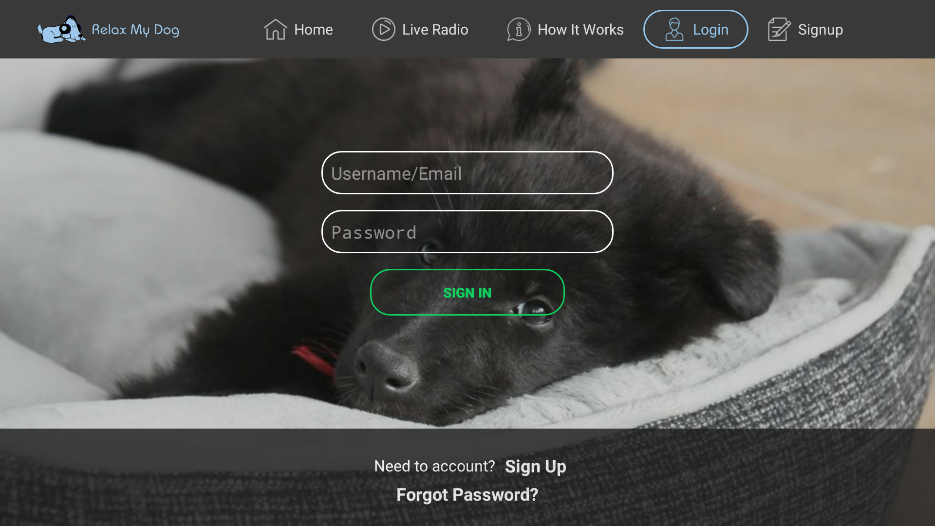 relaxmydog sleep music for dogs