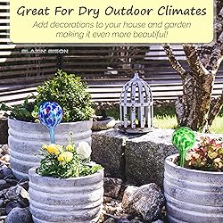 Blazin Self Watering Bulbs for Plants | Automatic