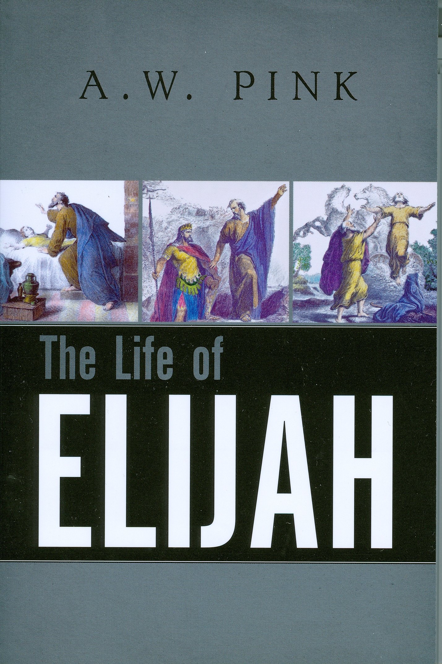 The Life Of Elijah A W Pink 9780851510415 Amazoncom Books