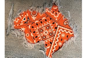 HOLEYPATCHES Bandana Fabric Peek-A-Boo Iron ON Patches by Holey Patches in Assorted Colors/Sizes (Orange, 4" x 7" (Set of 2))