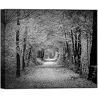 SIGNWIN Canvas Wall Art A Pathway and Road in The Garden with Falling Leaves Nature Forest Modern Art Traditional Scenic Dramatic Black and White for Living Room, Bedroom, Office - 12x18 inches