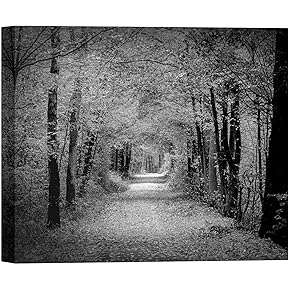 SIGNWIN Canvas Wall Art A Pathway and Road...