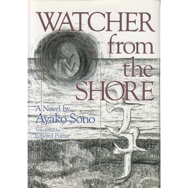 Amazon.com: No Reason for Murder: 9784925080637: Sono, Ayako