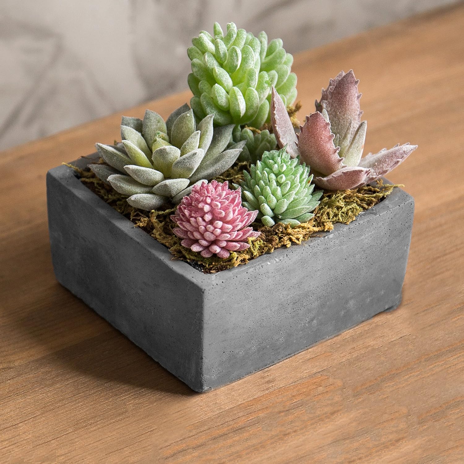 MyGift Mixed Faux Succulent Plant Arrangement in Square