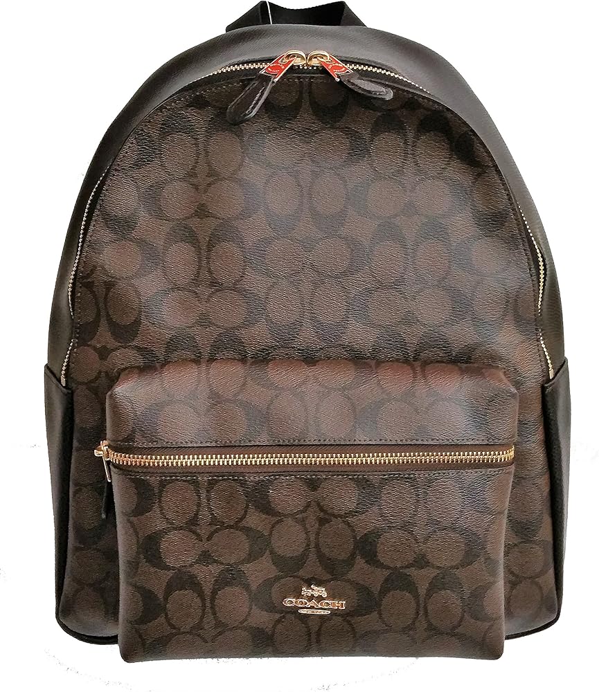 coach shoes and bags