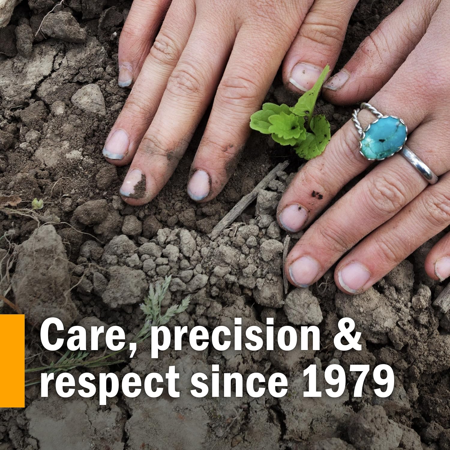 Herb Pharm Heart Health Liquid Herbal Formula with Hawthorn for Cardiovascular System Support - 4 Ounce: Health & Personal Care