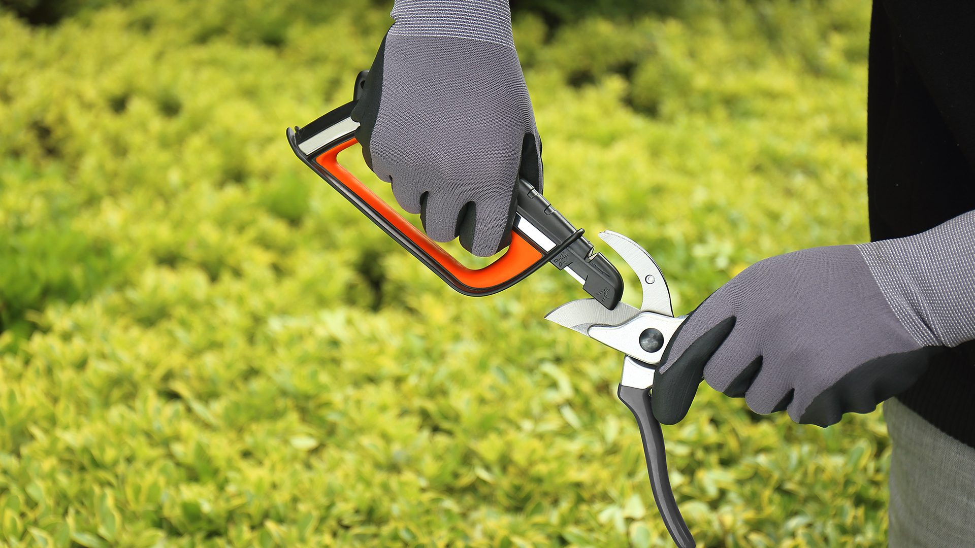 5 SHARPAL+Pruner+Sharpener+Machete+Scissors