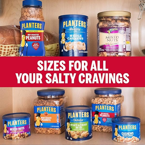 PLANTERS PEANUTS, DRY ROASTED PEANUTS, LIGHTLY SALTED SNACK MIX, SNACKS FOR ADULTS – 16 OZ. JARS, PACK OF 12 PLANTERS NUTS