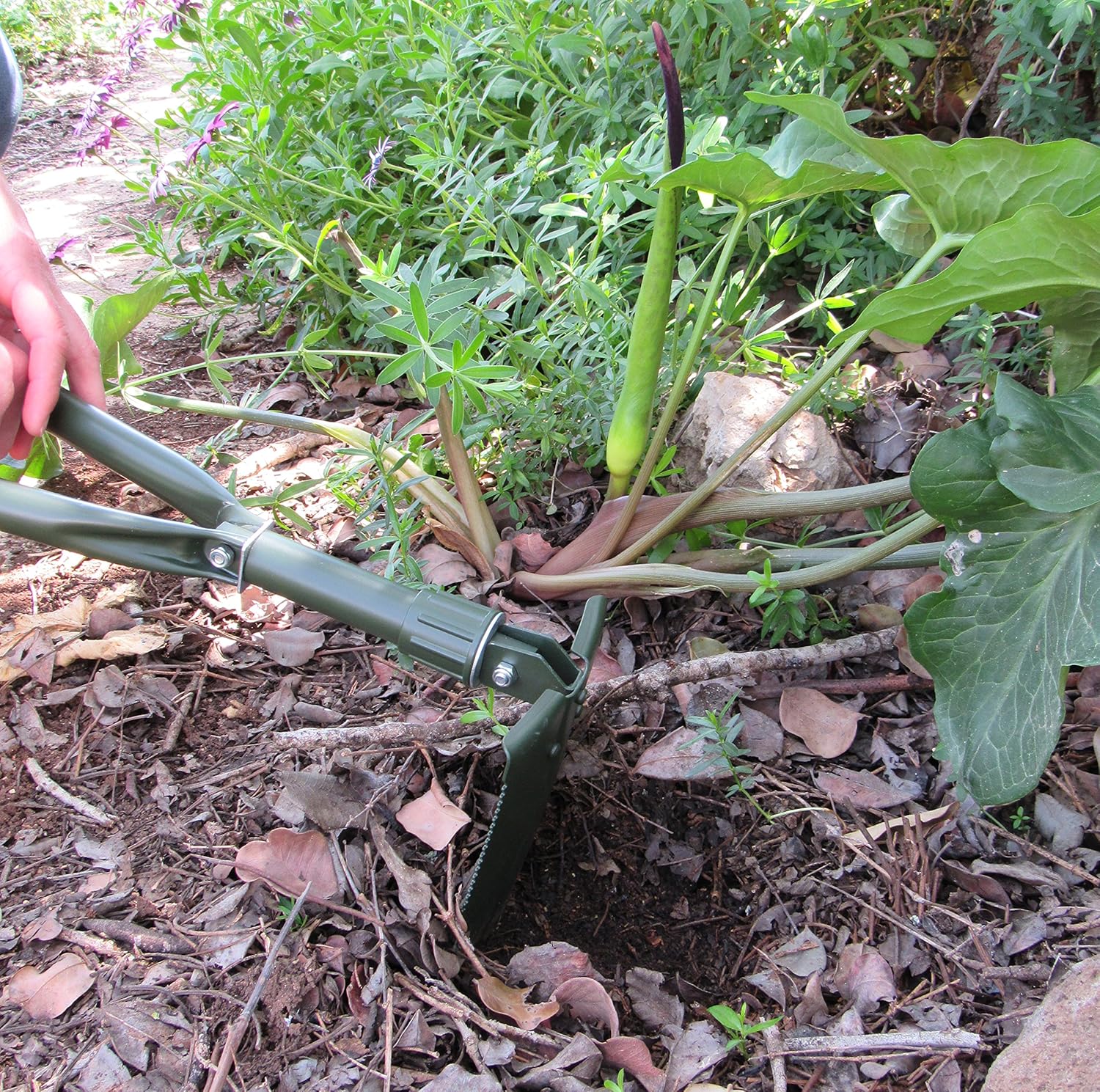 TABOR TOOLS J35A Folding Shovel, Small 18 Inch Survival Spade for Camping, Gardening, SUV Emergencies. Entrenching Trowel Tool with Steel Rugged Edge Blade. Includes Carrying Pouch with Loop. : Garden & Outdoor