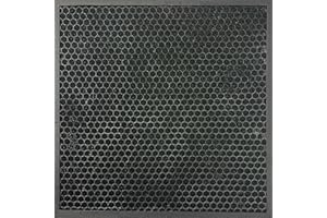 The Naked Sun Overspray X Fan Filter - Two Pack