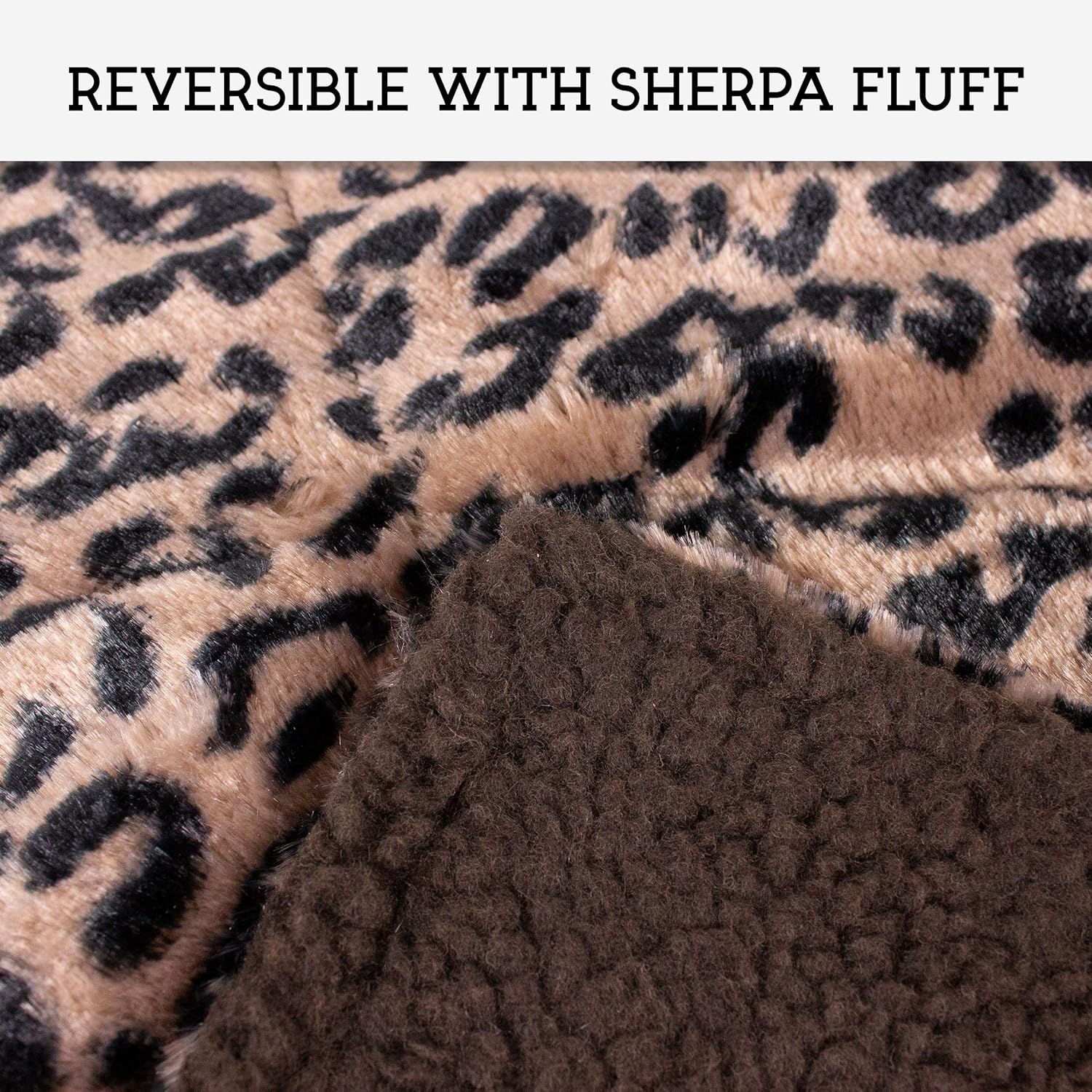 Thermal Cat Pet Dog Warming Bed Mat (Beige, Regular) : Self Warming Pet Bed : Pet Supplies