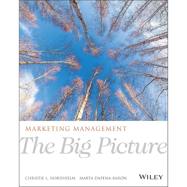 Marketing Management: The Big Picture: Nordhielm, Christie L