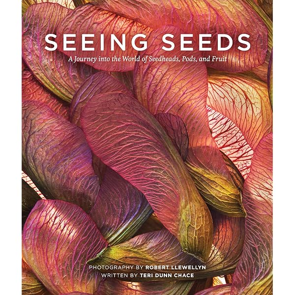 Amazon.com: The Hidden Beauty of Seeds & Fruits: The Botanical