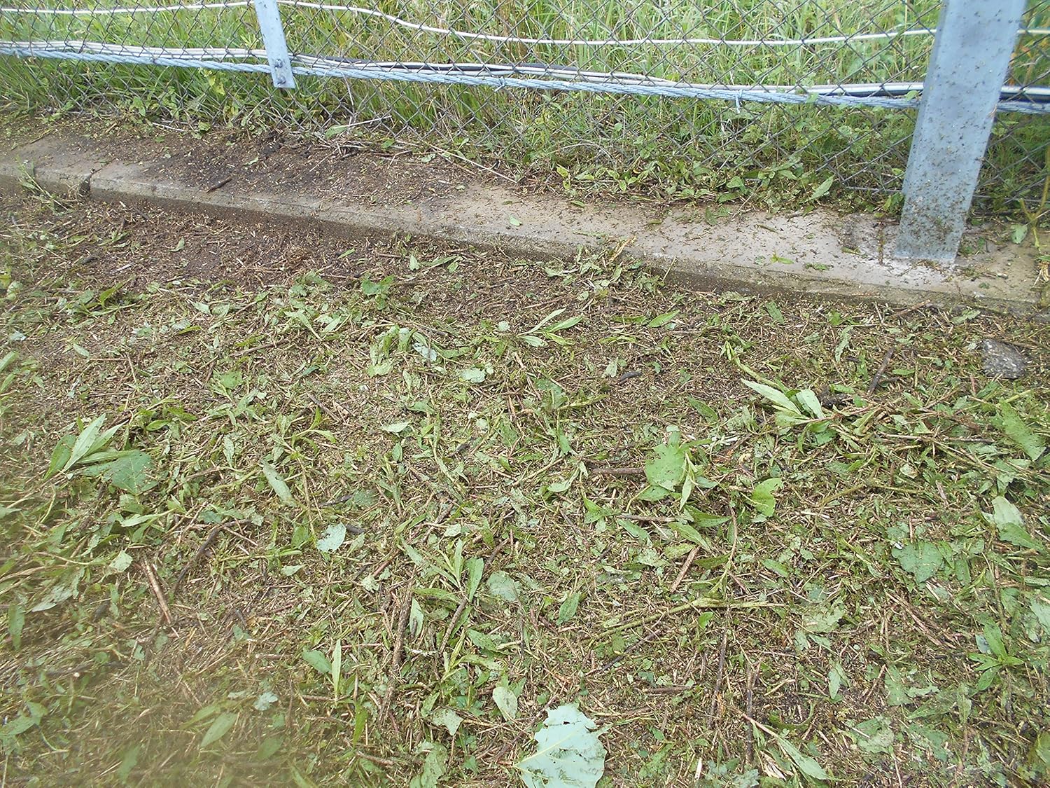 Amazon 草刈刃 ブレードレスロータリーブレード ｋｅ６タイプ 簡易包装 草刈機 刈払機パーツ アクセサリ