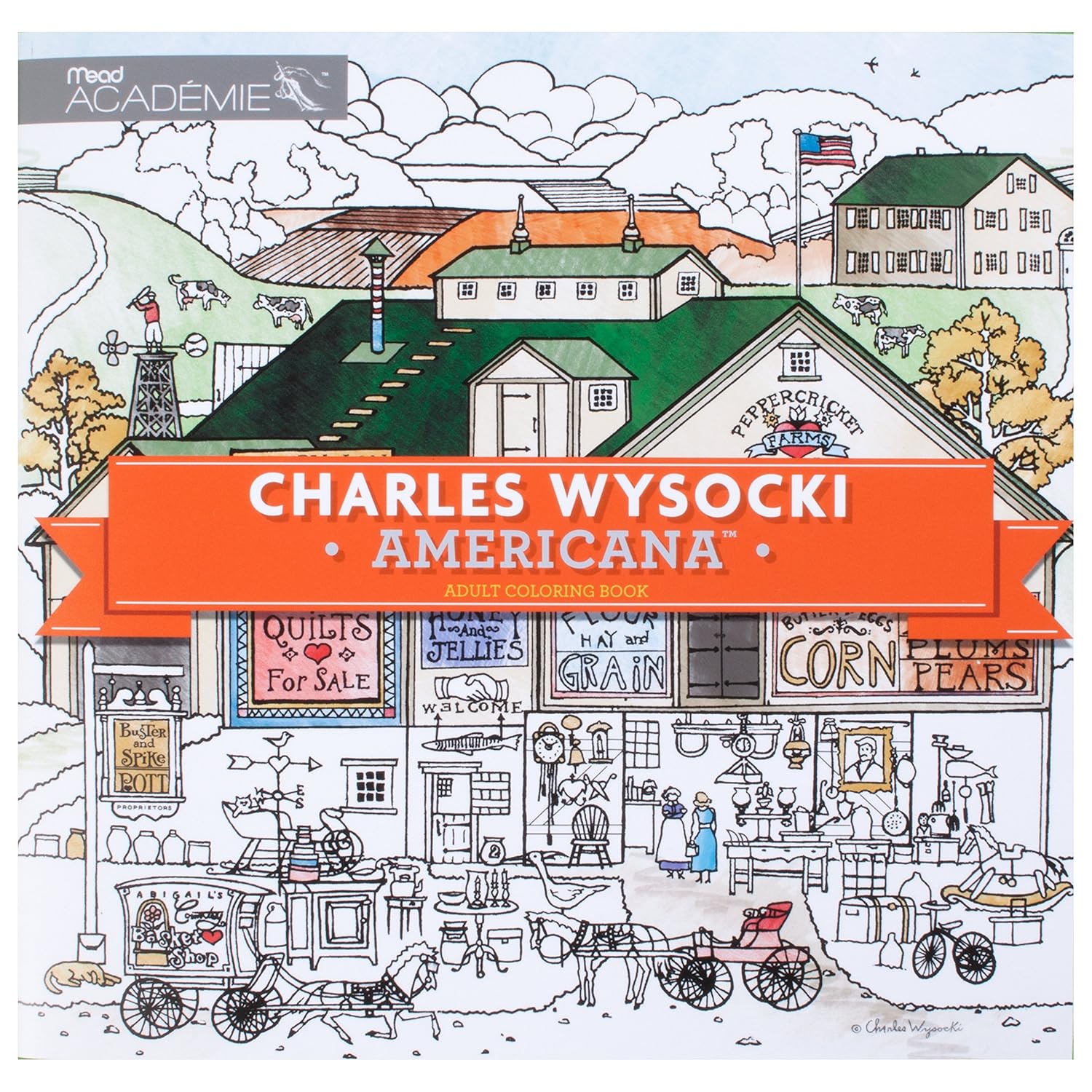 Amazon.com : Adult Coloring Book: Charles Wysocki Americana by Mead