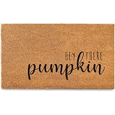 Hey There Pumpkin Door Mat 30x17 Inch, Hello Pumpkin Welcome Mat Coir Fall | Non-Slip PVC Backing, No-bleed Stays Vibrant in Covered Outdoor Areas