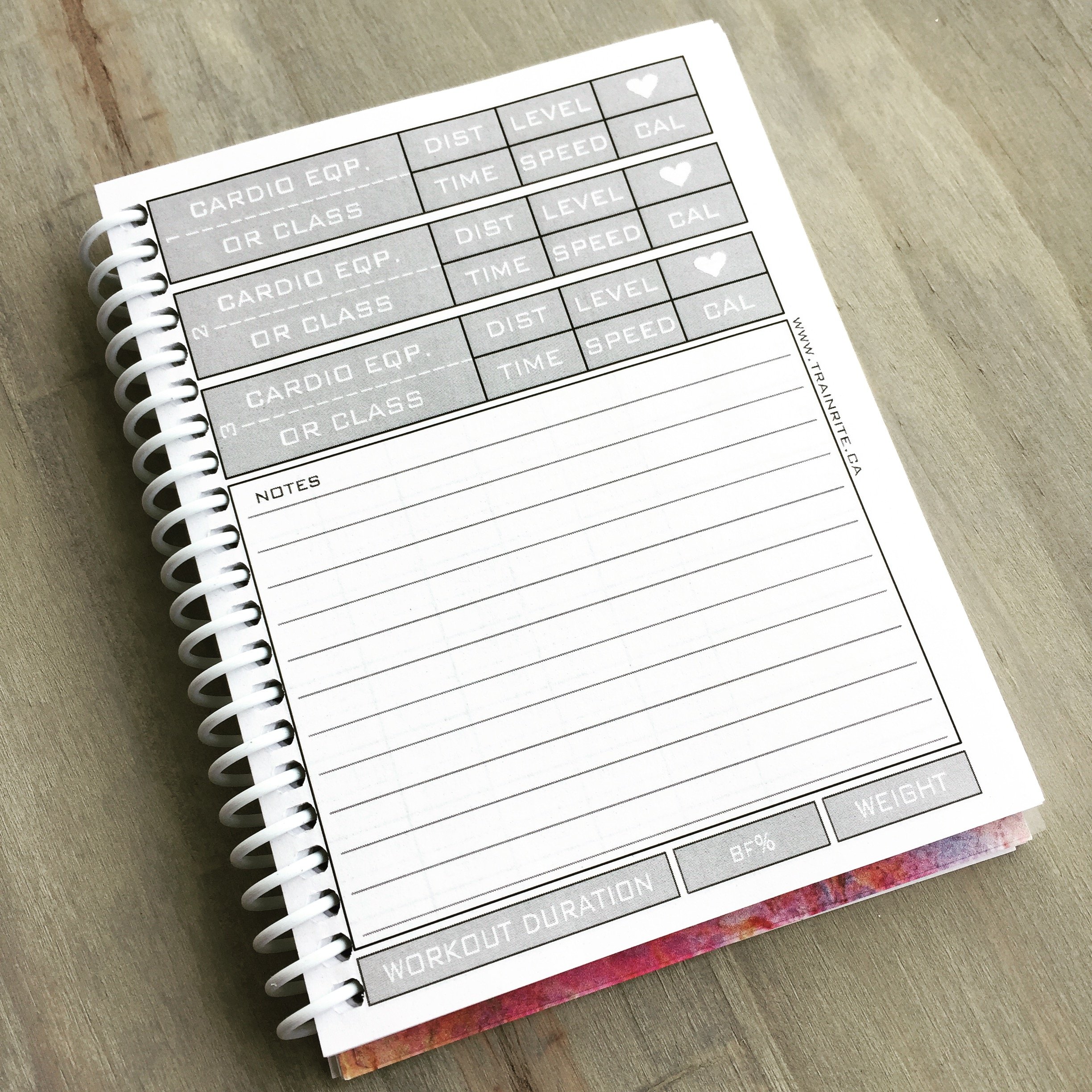 Trainrite Compact Fitness Journal Get Shit Done Matt