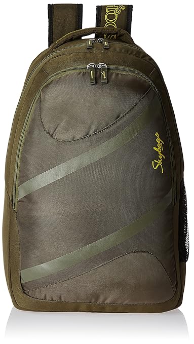 Skybags Router 26 Ltrs Green Casual Backpack (LPBPROU2GRN)
