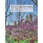 Deep Learning (Adaptive Computation and Machine Learning series)