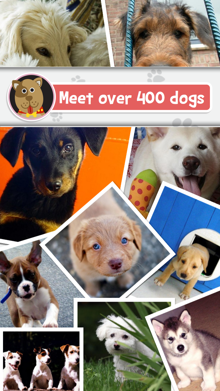 Breeds The Dog Name Game The Favorite ‘Guess the Word