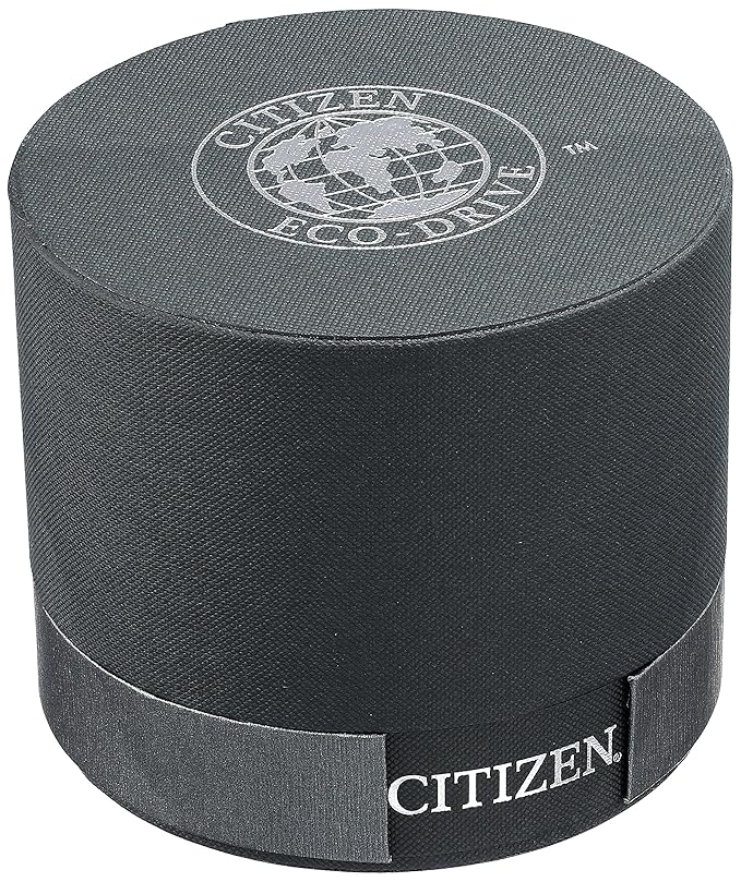 Citizen Eco Drive Watch E650 Manual High School