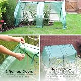 DIVCHI Mini Greenhouse Tunnel with 2 Zipper Doors Green House view 4