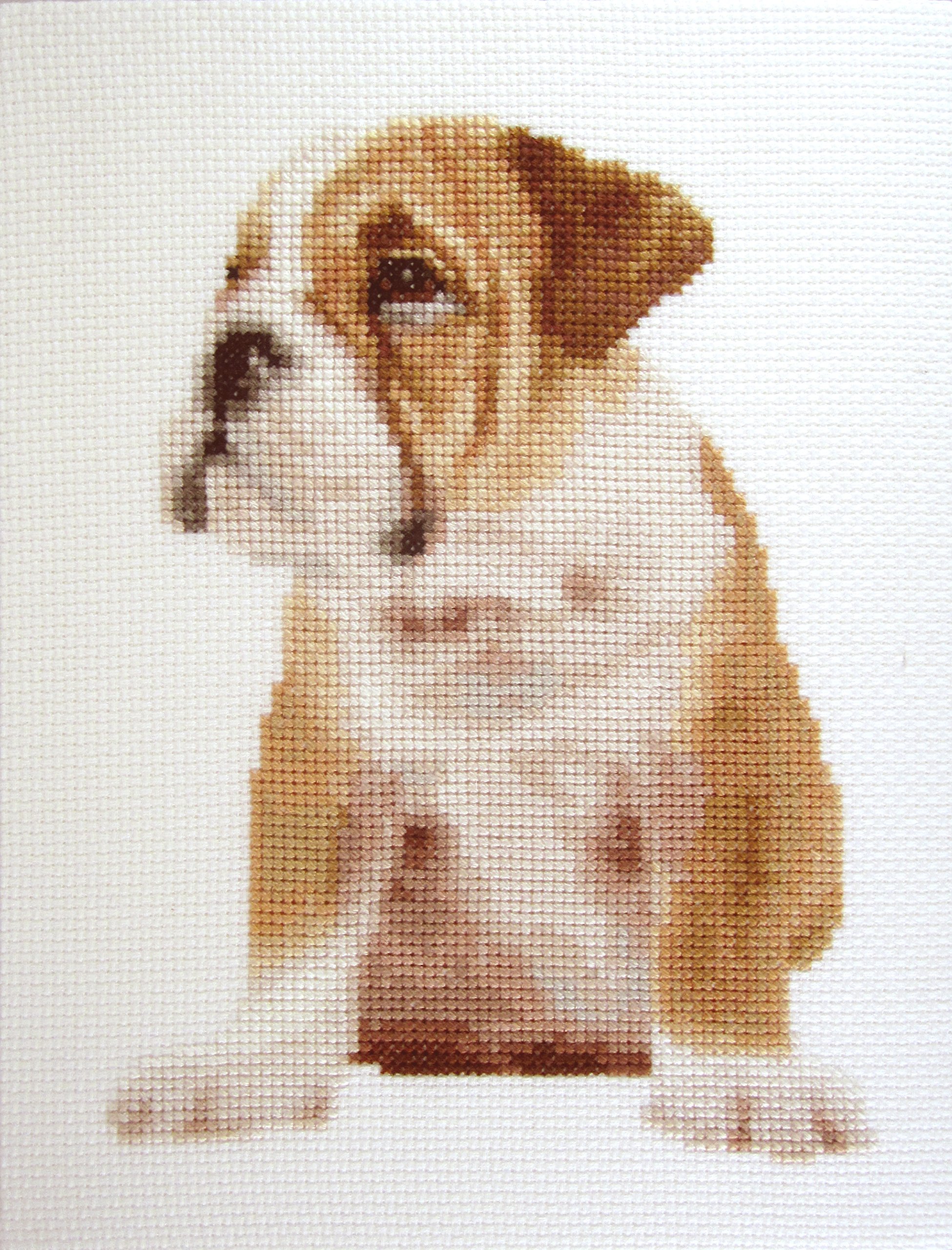 Adorable Wrinkles Counted Cross Stitch kit by Orcraphics