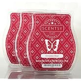 Scentsy Cinnamon Bear 3 Pack Bars
