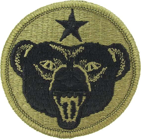 Army Alaska Patch 8 U.S. Army Alaska OCP Patch Scorpion W2 Clothing