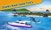 Crazy Shark 3D Sim