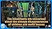 New York Mysteries: Secrets of the Mafia