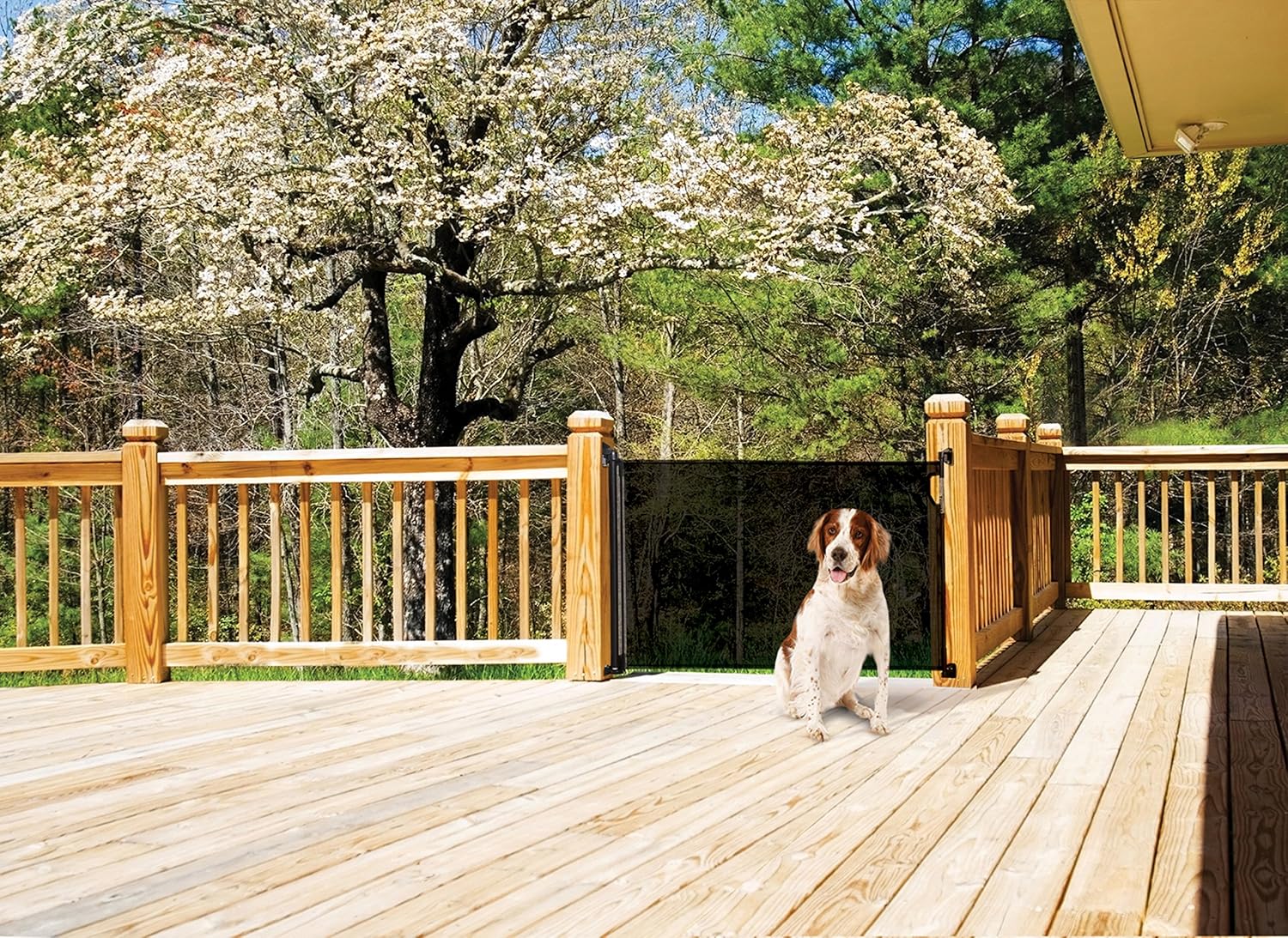 dreambaby retractable gate black