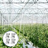 Zayin 25 Stainless Steel Z Clips for Greenhouse Glass Panes view 5