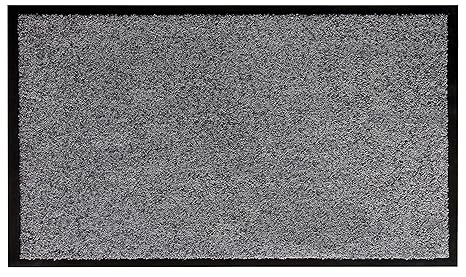 andiamo Schmutzfangmatte Fußabtreter Türmatte Fußmatte Sauberlaufmatte Schmutzabstreifer Türvorleger – Eingangsbereich In/Out