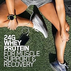 Optimum Nutrition Gold Standard 100% Whey Protein