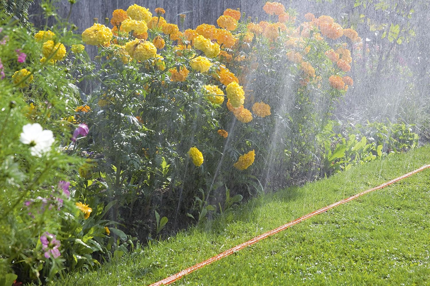 Gardena Hose Sprinkler: Sprayer for Narrow beds and Zones Plant-Friendly fine Spray Mist - Image 5