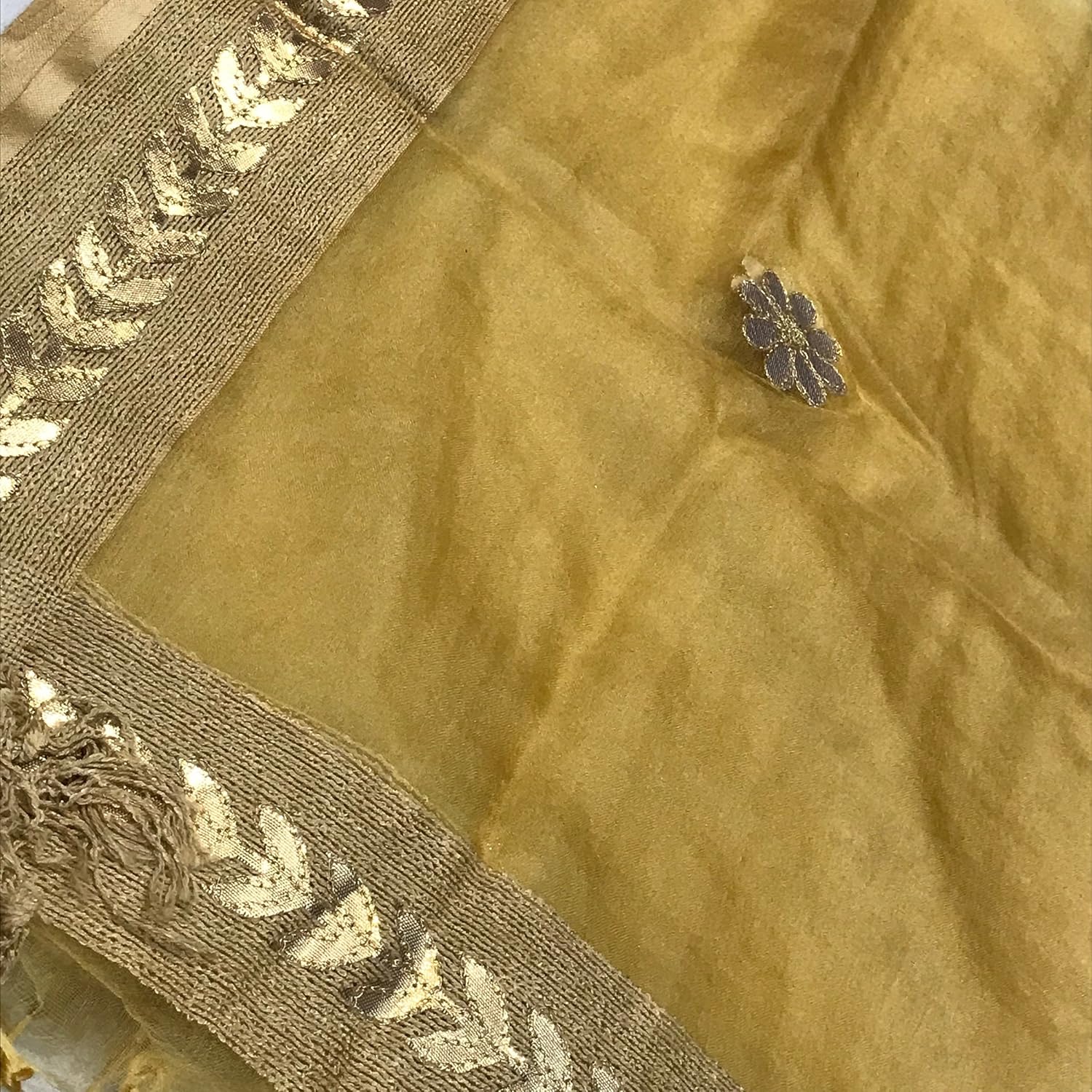rani saahiba women's organza dupatta