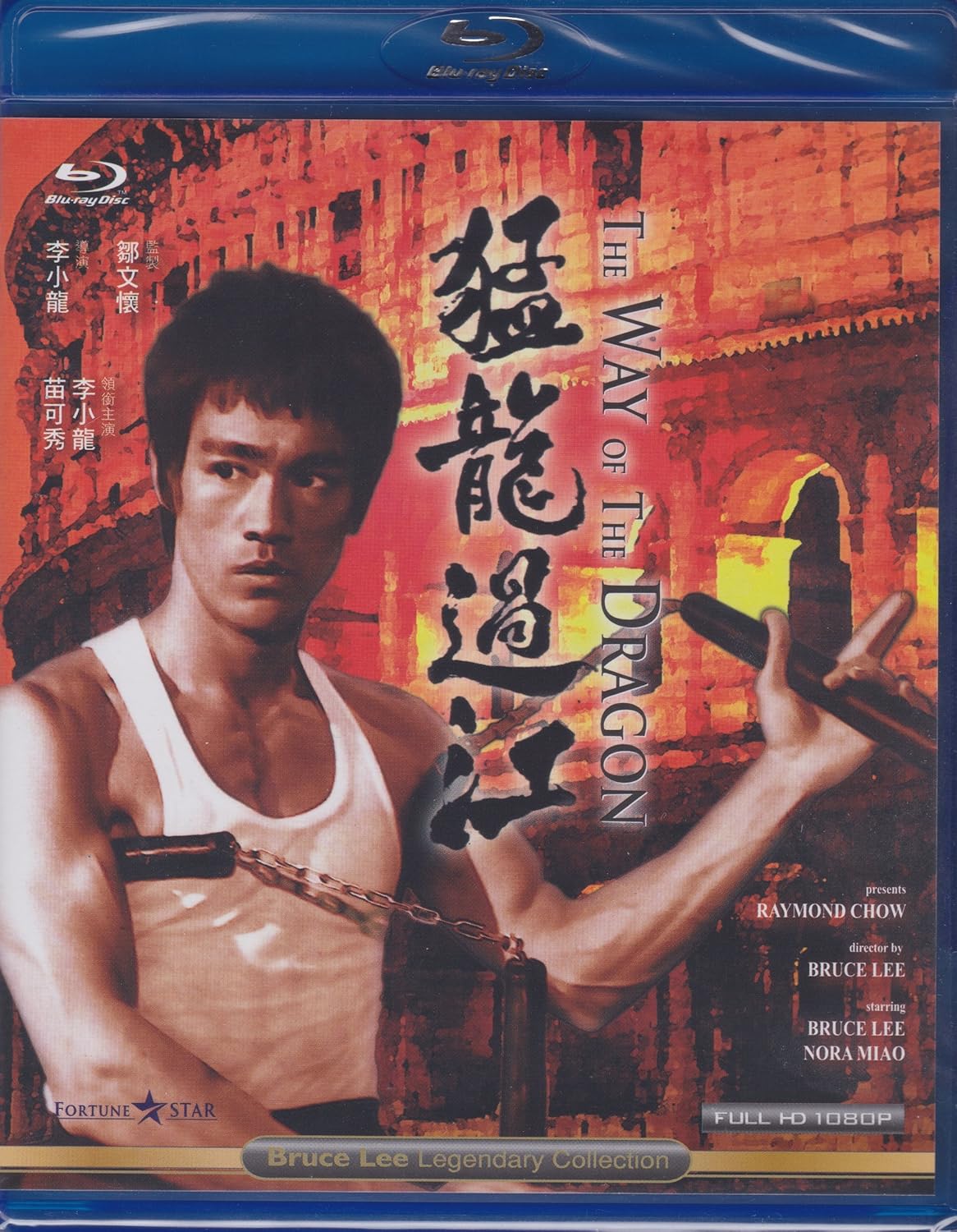 bruce lee way of the dragon full movie