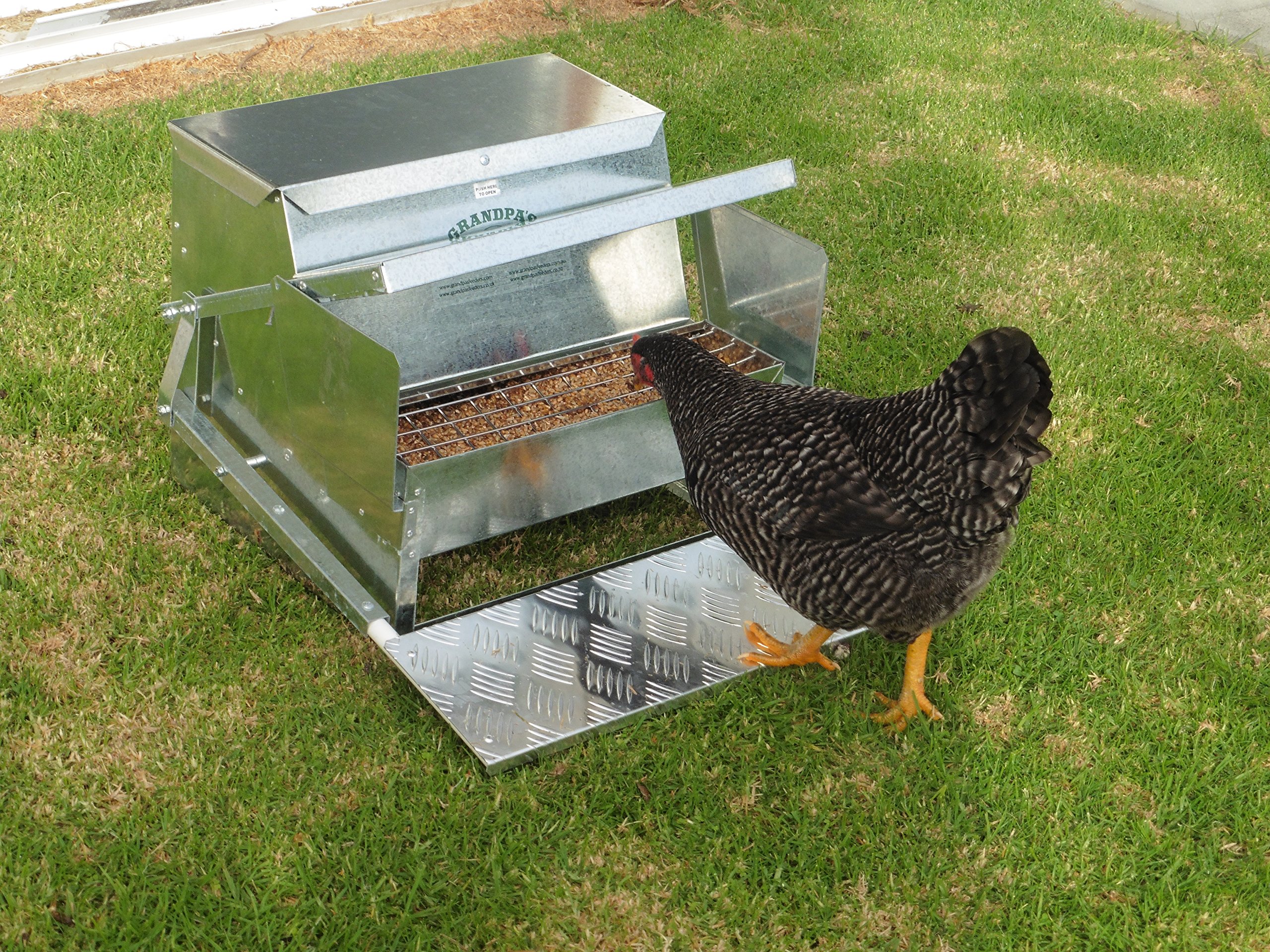 Grandpa S Feeders Automatic Chicken Feeder Sturdy Galvanized