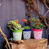 Hum Flowerpots 15cm Set of 3 Plastic Pots Green Pink Blue Maroc Indoors Outdoors view 5