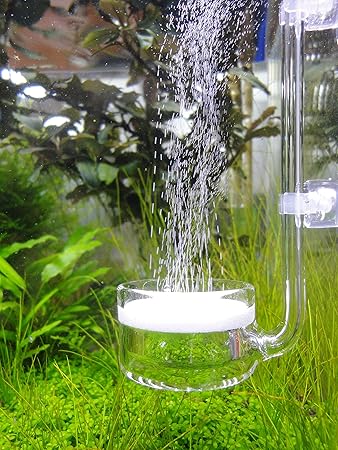 Amazon Co2ディフューザー ビートル 長い柄 ガラス製 直径４センチ 90 1cmサイズの水槽用 Jardli 水質テスト 管理用品 通販