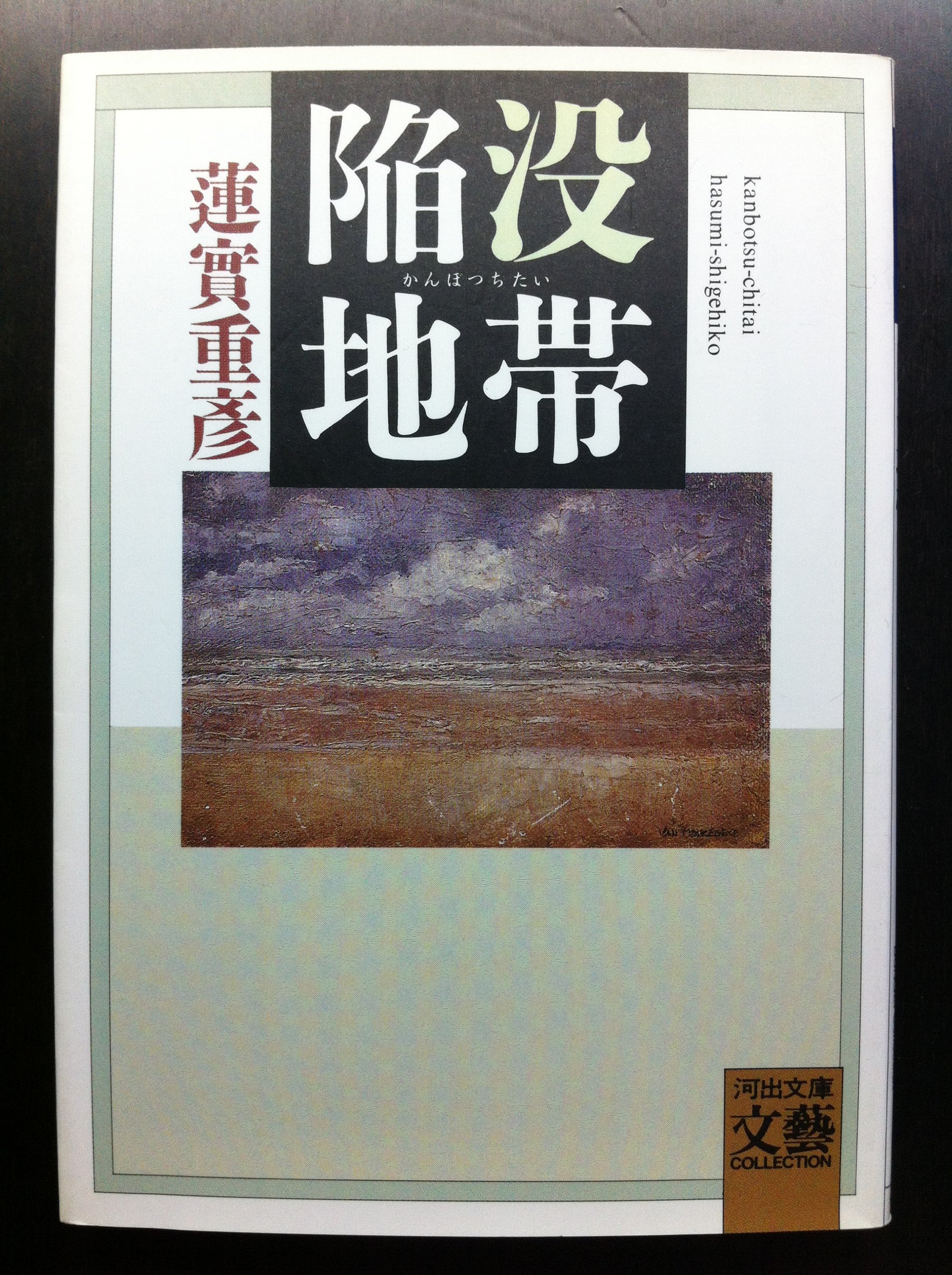 陥没地帯 河出文庫 文芸コレクション 蓮實 重彦 本 通販 Amazon